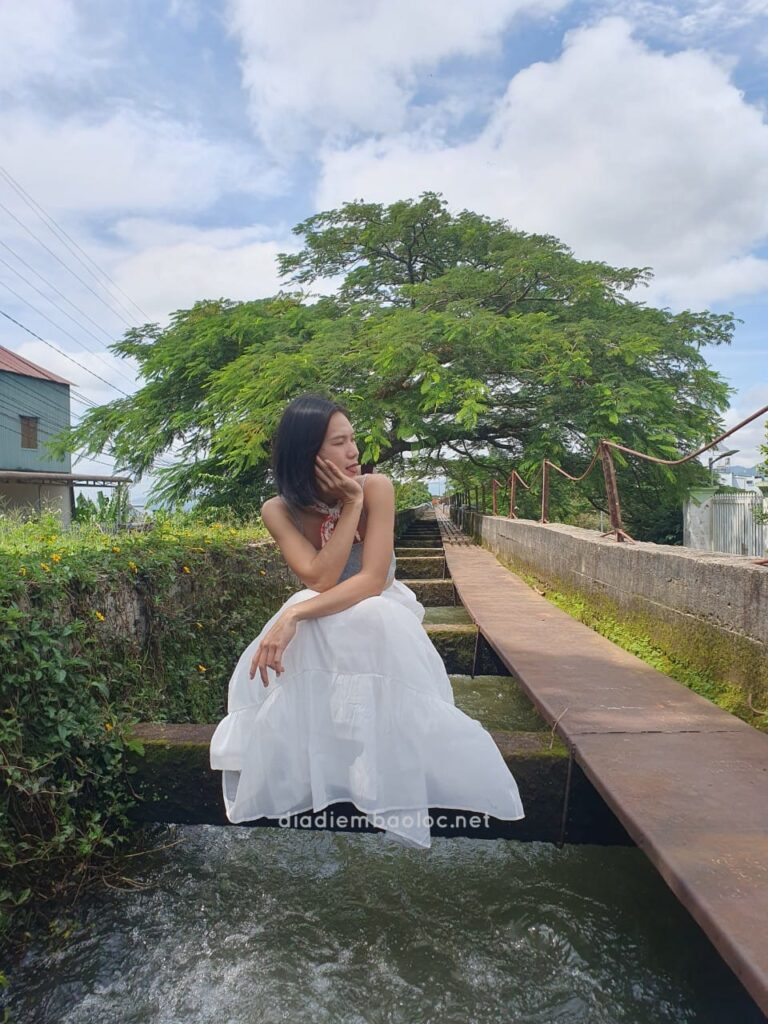 Cầu Máng 10
