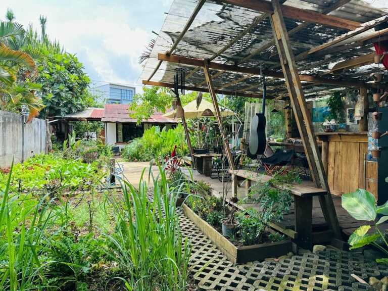 Khu vực cafe, đọc sách ngay vườn rau