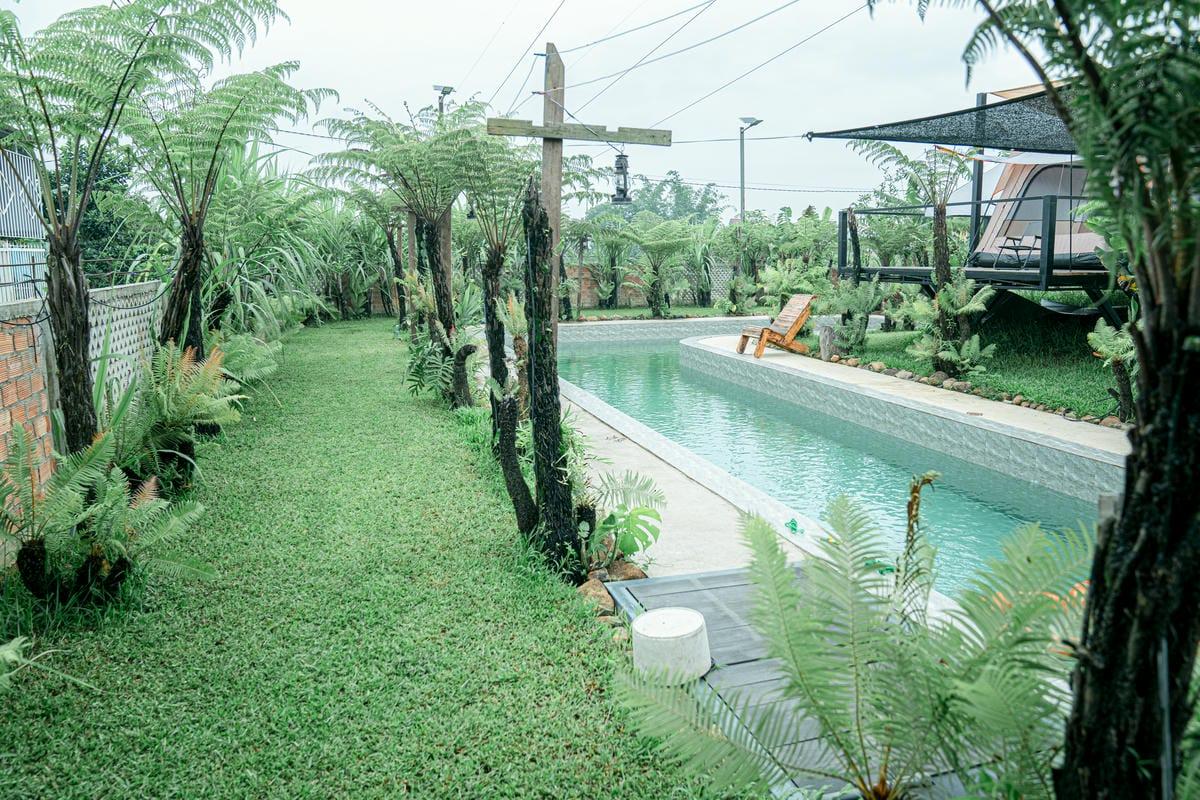 an nguyen homestay 8