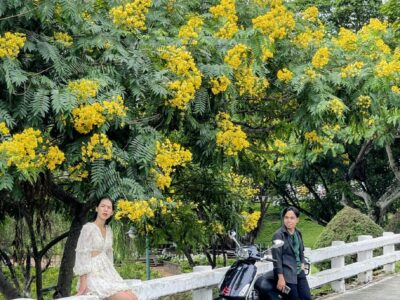 hoa muong o cau trang 1