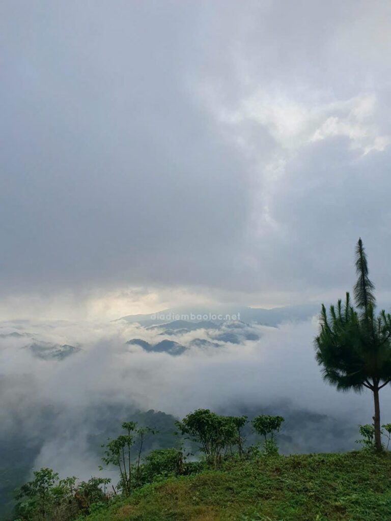 Đồi Dổi 16