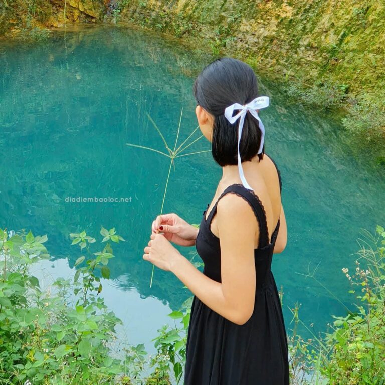 Đồi Dổi 7