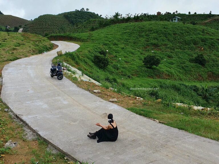 Đồi Dổi 20