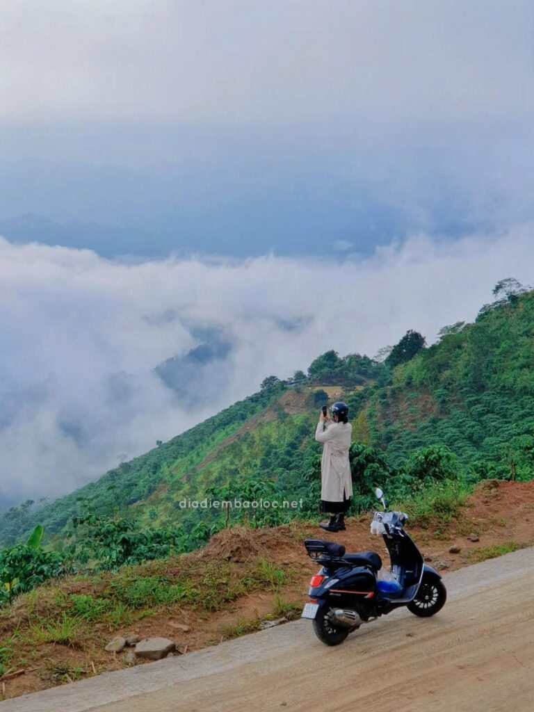 Đồi Dổi 12