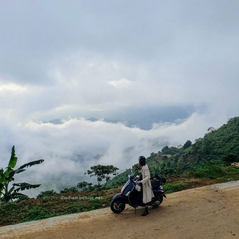 Đồi Dổi 11