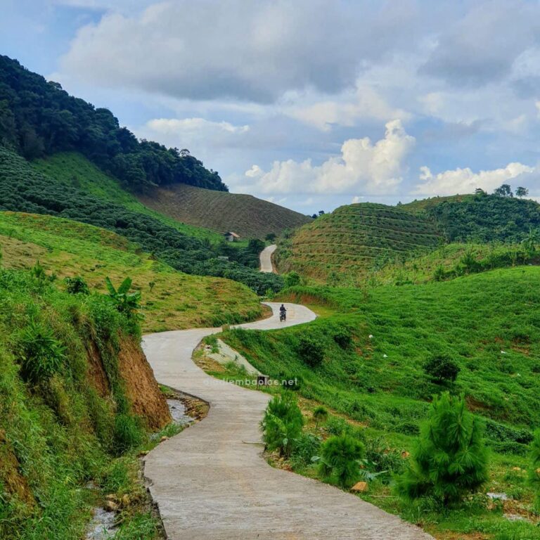 Đồi Dổi 21