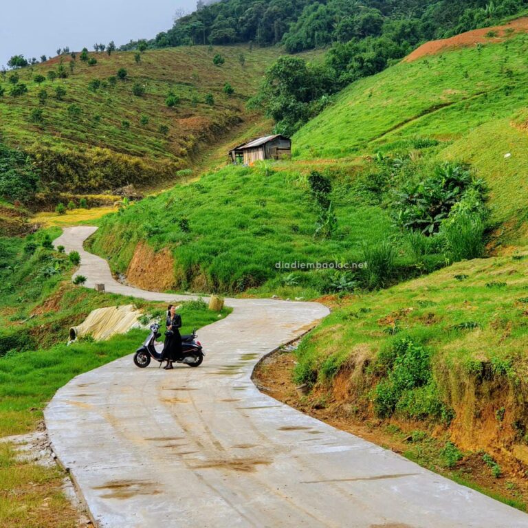 Đồi Dổi 3