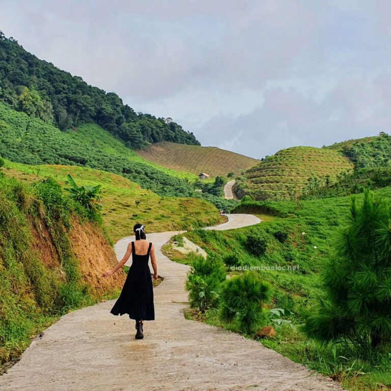 Đồi Dổi 1