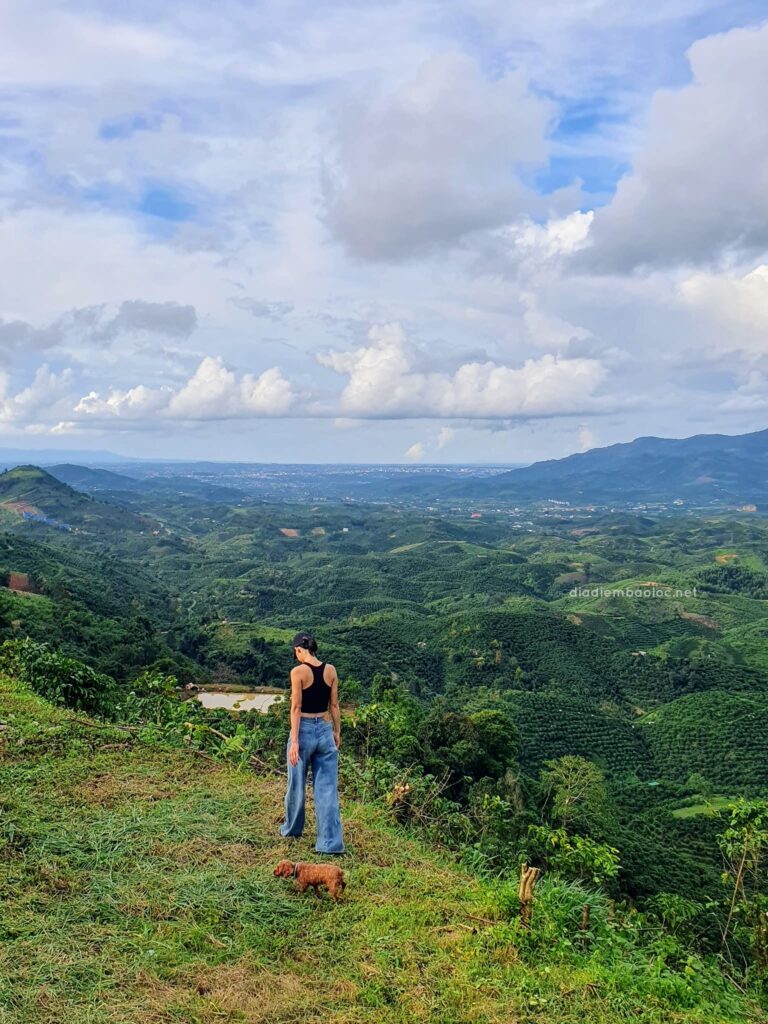 Đồi Dổi 19