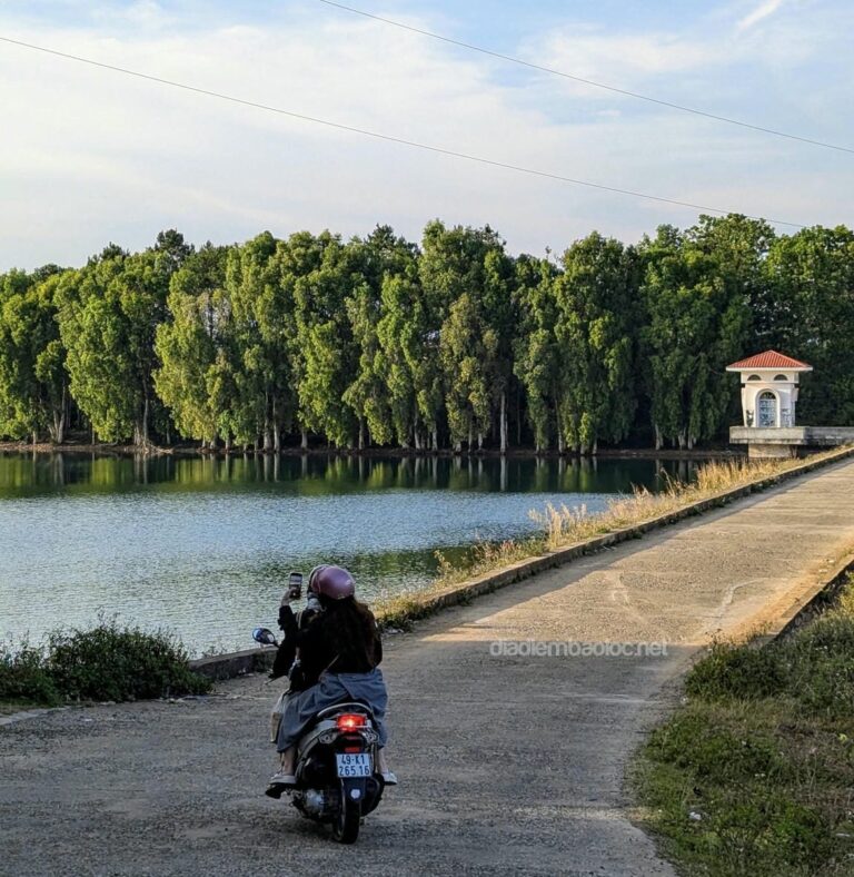 Đập 7 Mẫu 2
