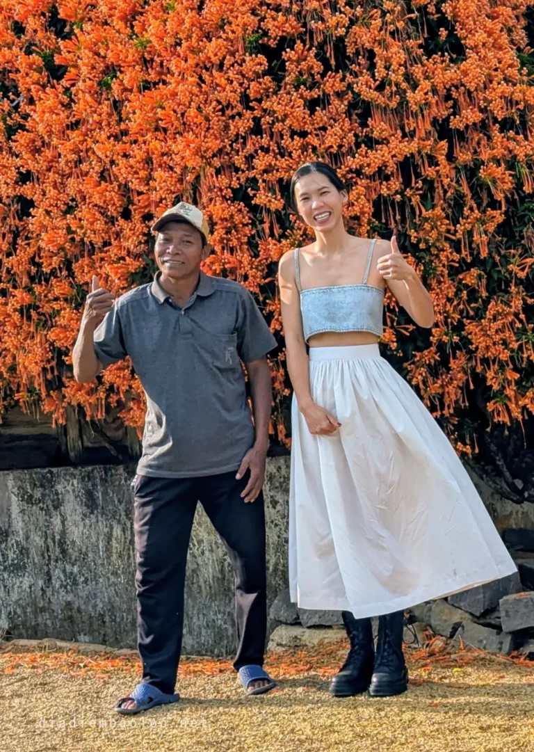 Ngôi Nhà Hoa Xác Pháo 7