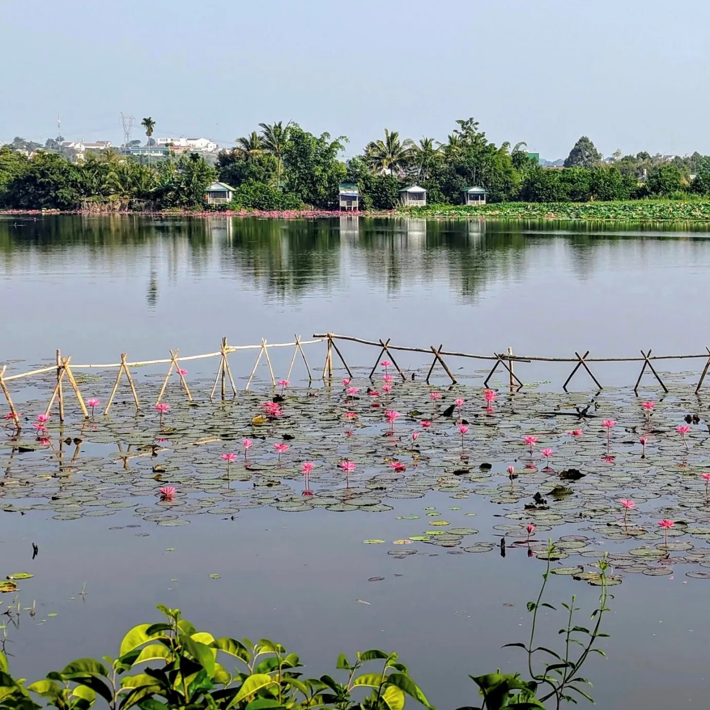 homestay bao loc doc suong mu 6