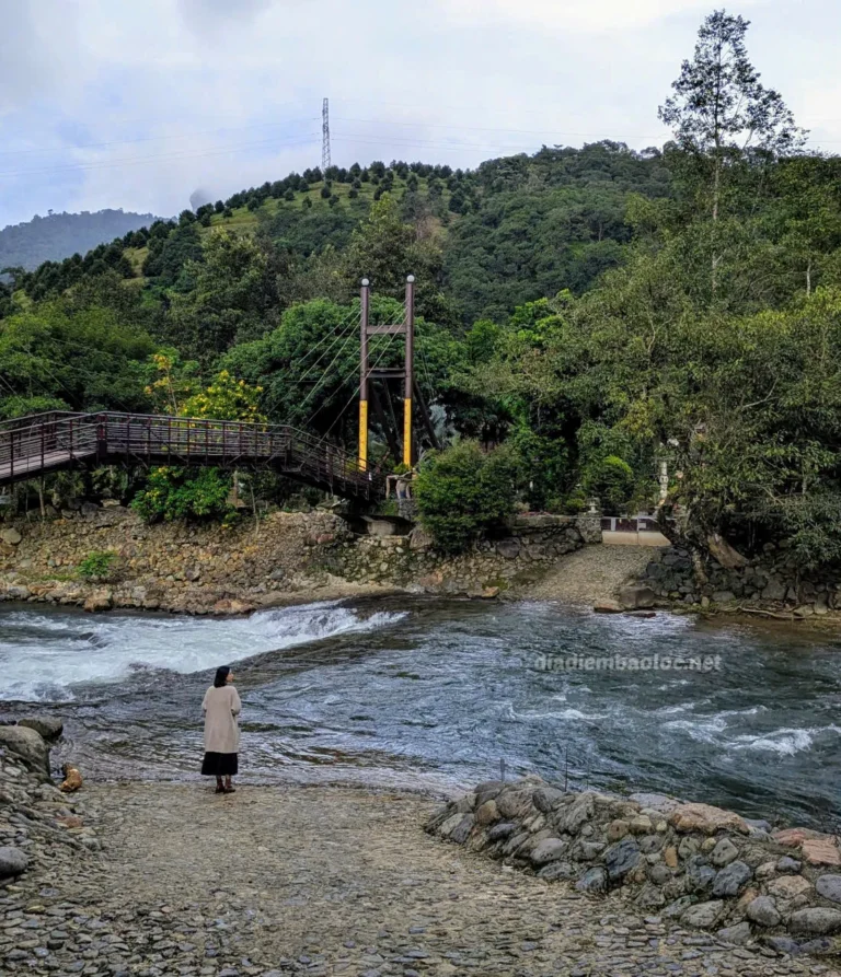 Thiền Trang Trúc Lâm Đông Tuệ 5
