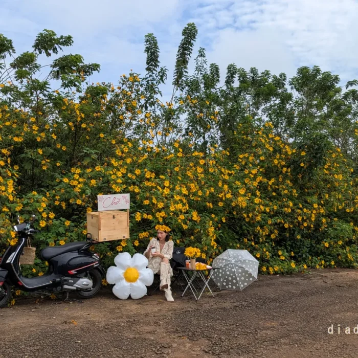 hoa da quy bao loc (10)