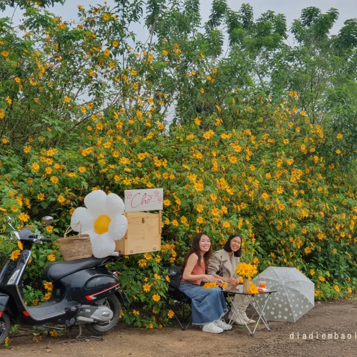 hoa da quy bao loc (12)