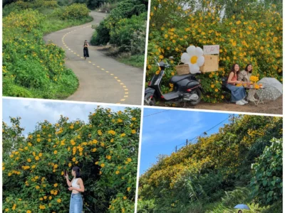 hoa da quy bao loc (2)