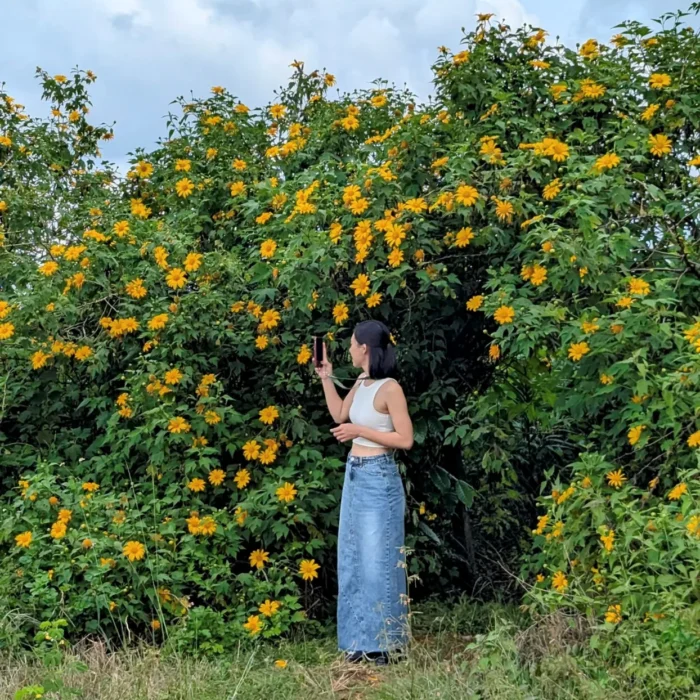 hoa da quy bao loc (5)