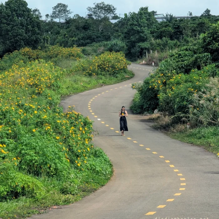hoa da quy bao loc (7)