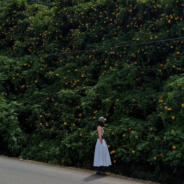 vinhxdcom_cau dan mach