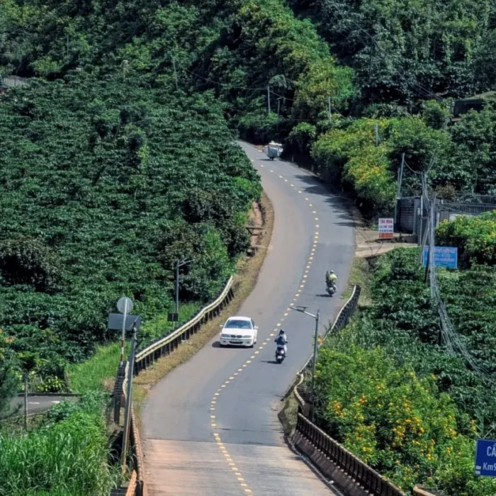 vinhxdcom_cau dan machh