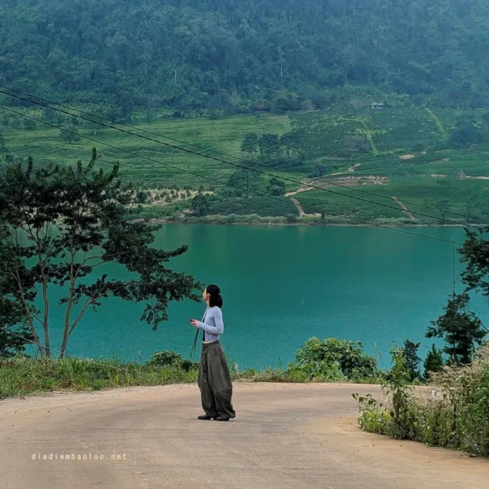 vinhxdcom_ho ngoc bao loc (1)