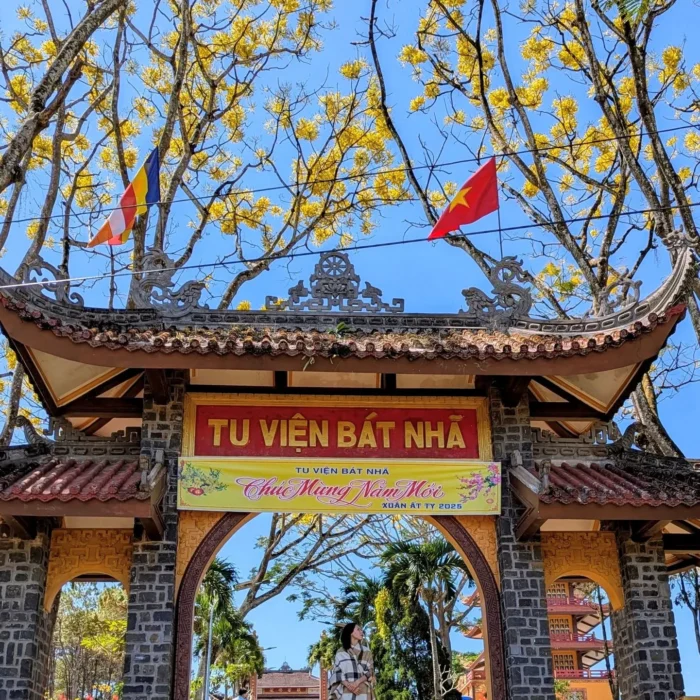 Phượng Vàng nổi tiếng nhất Bảo Lộc là ở Tu Viện Bát Nhã