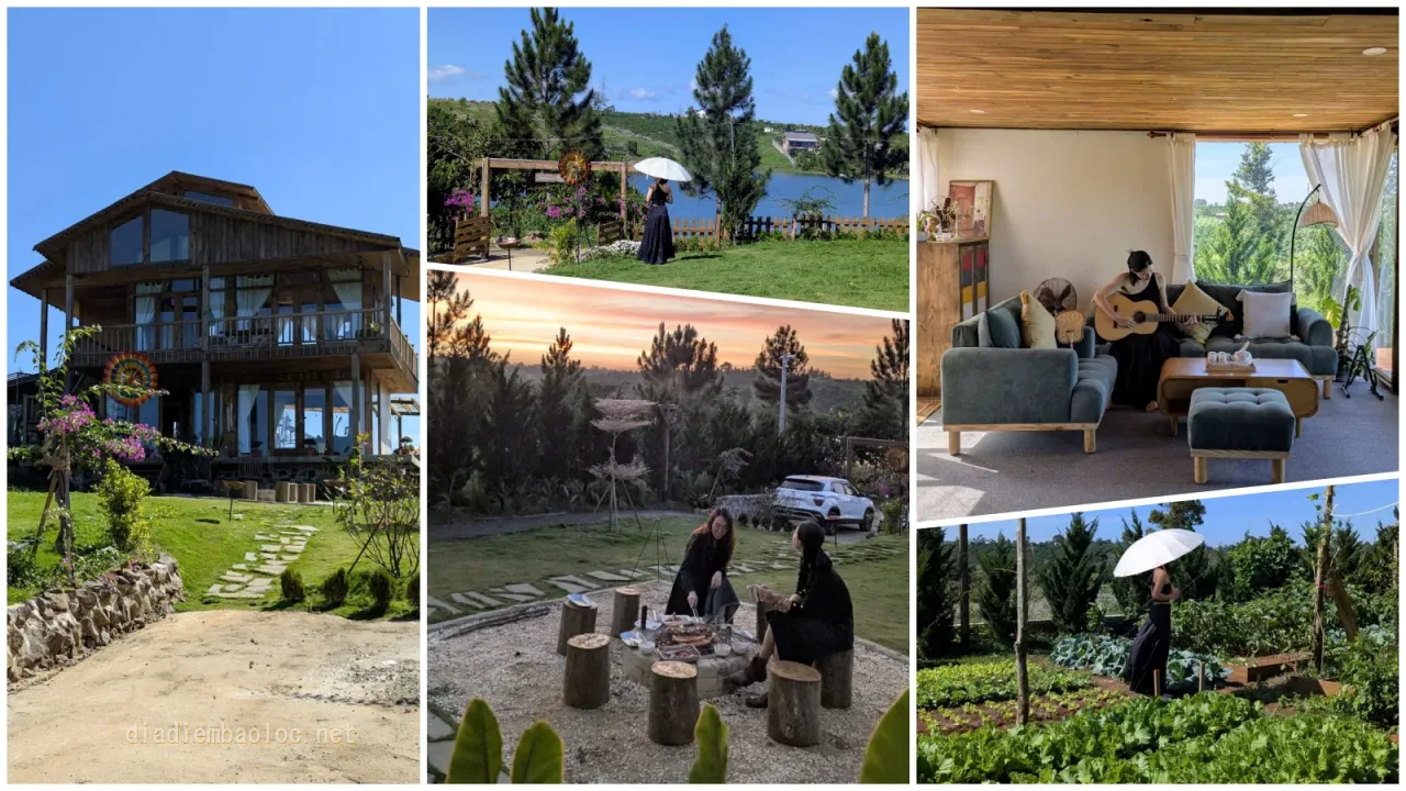 vinhxdcom nha bao la baoloc