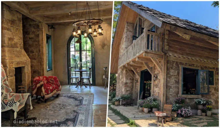 Rừng Cafe & Glamping 6