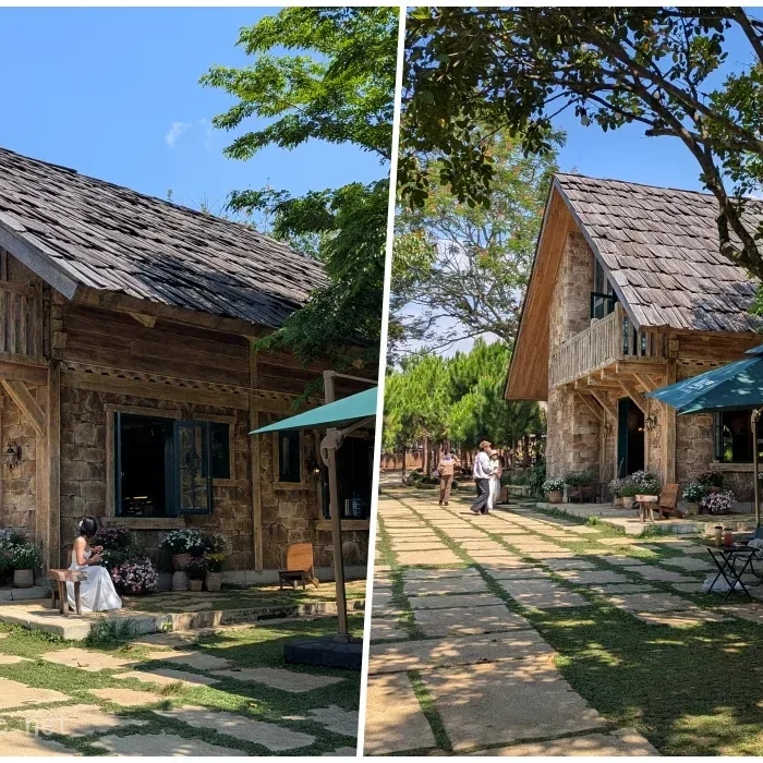 vinhxdcom_rung coffeebaoloc