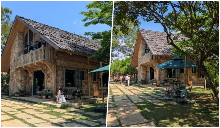 Rừng Cafe & Glamping 5