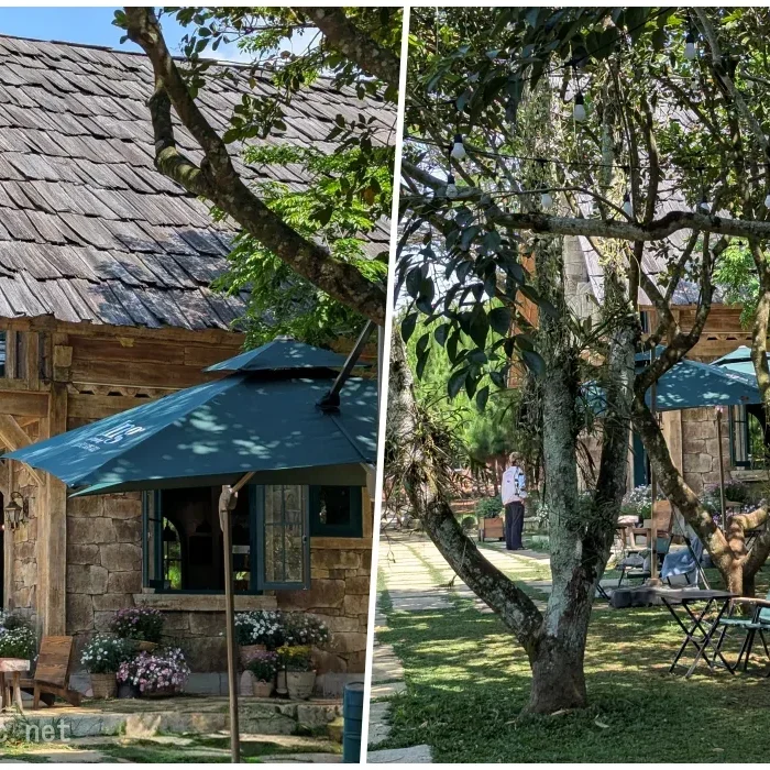 vinhxdcom_rung coffeebaoloc2