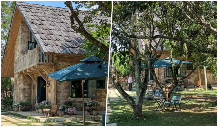 Rừng Cafe & Glamping 8