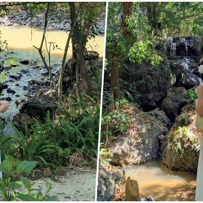 vinhxdcom_rung coffeebaoloc4