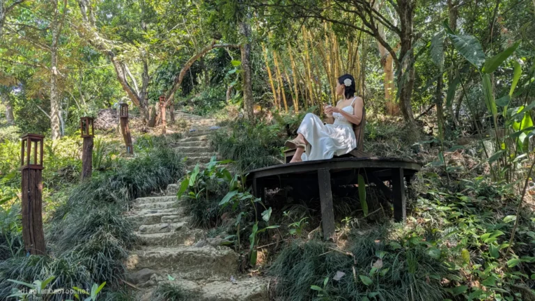 Rừng Cafe & Glamping 4