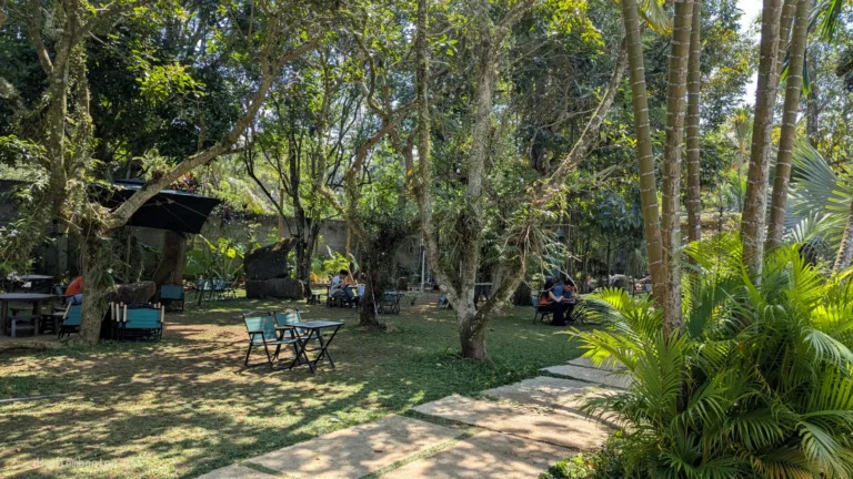 Rừng Cafe & Glamping 7