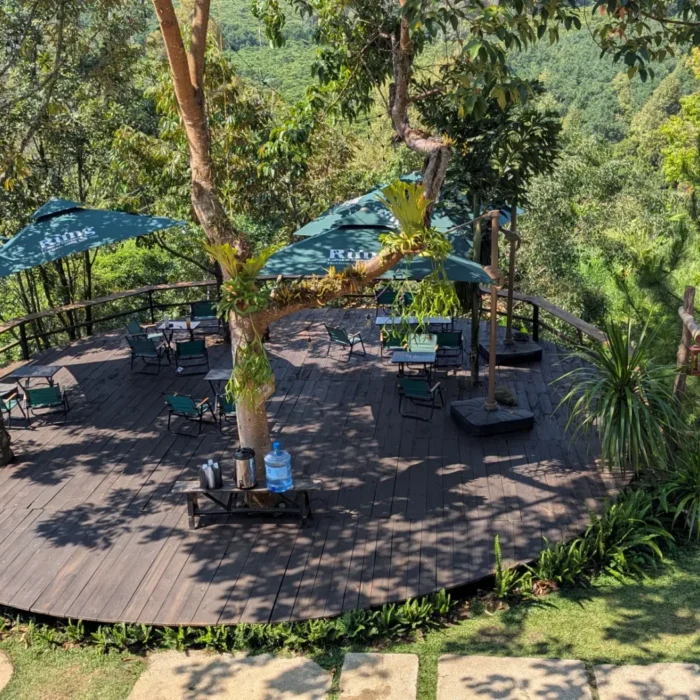 vinhxdcom_rung coffeebaoloc9