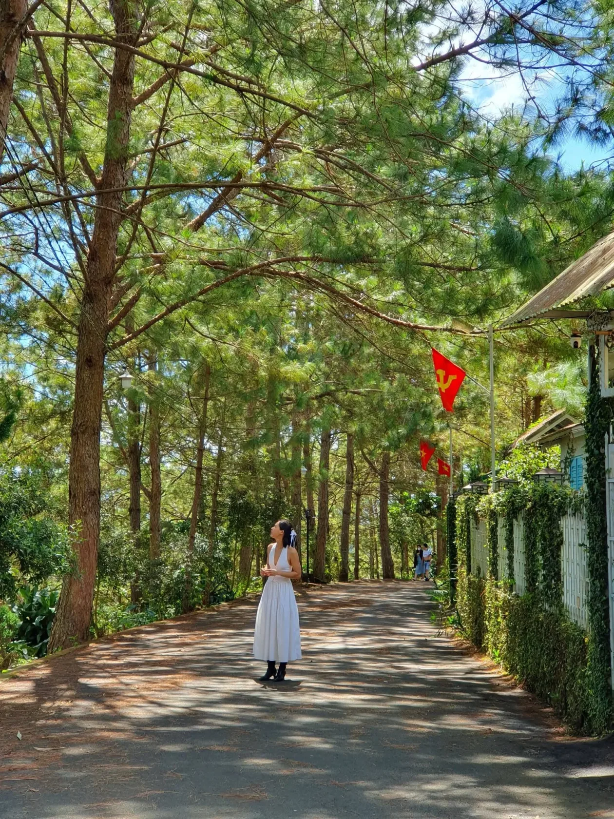 vinhxdcom_trung tam bao loc (4)