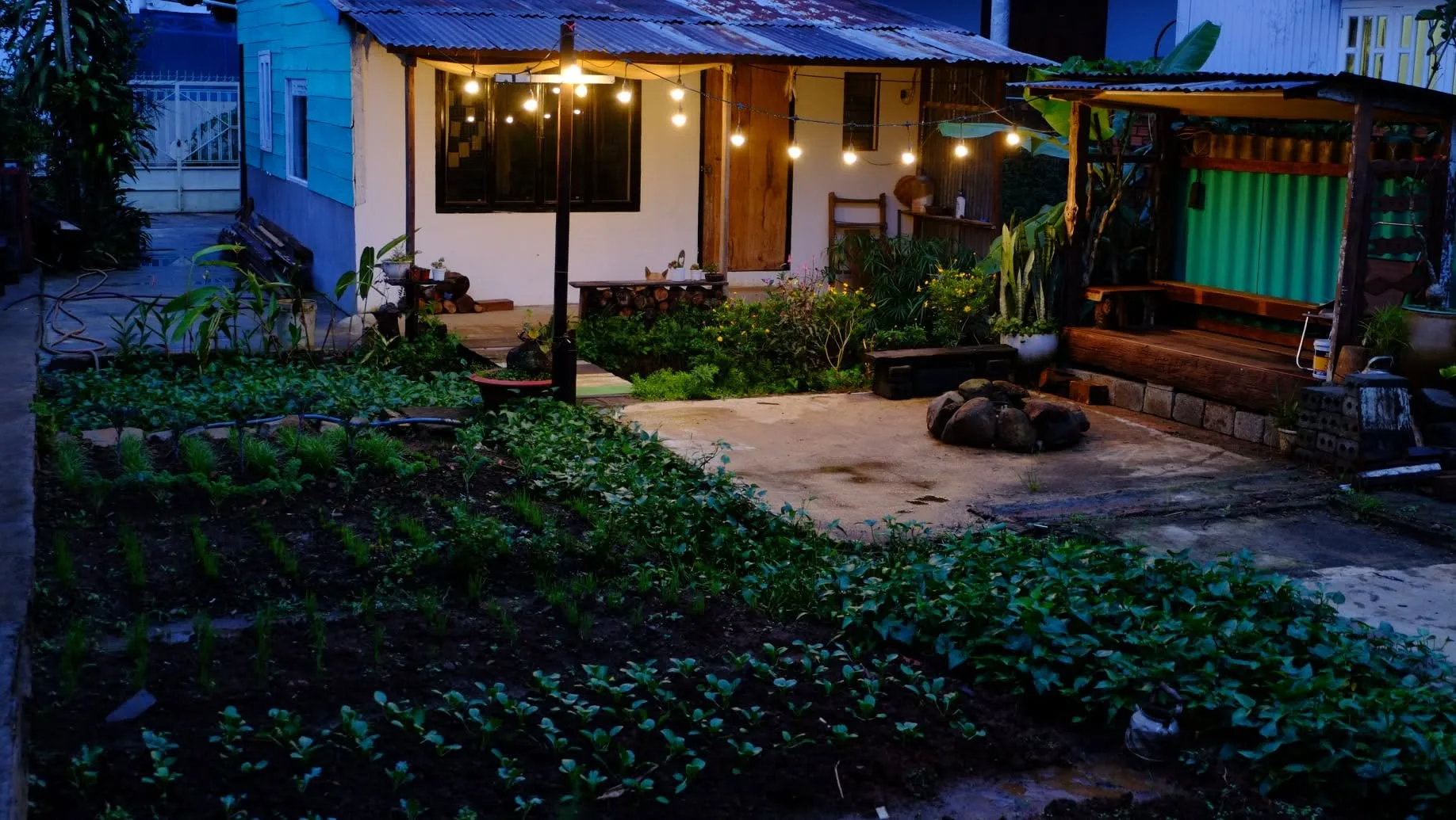 Vườn Chuối house - ảnh 1
