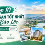 Top #9 Khách Sạn Bảo Lộc Được Đánh Giá Tốt Nhất Trên Agoda