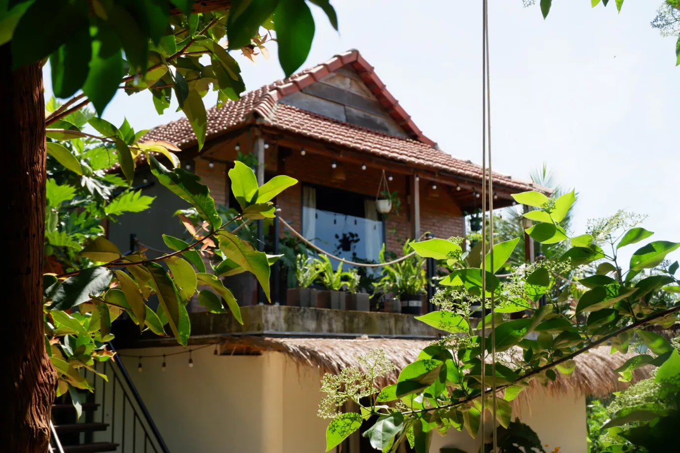 Phòng Đôi Pine Garden View - ảnh 3