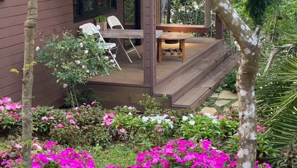 Swing House - ảnh 1