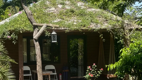 Garden House - ảnh 1
