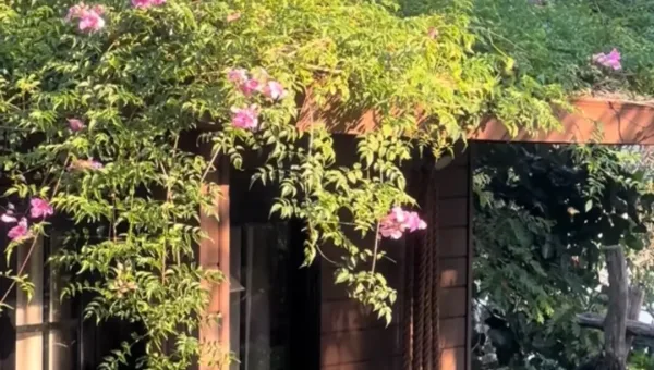 Garden House - ảnh 5