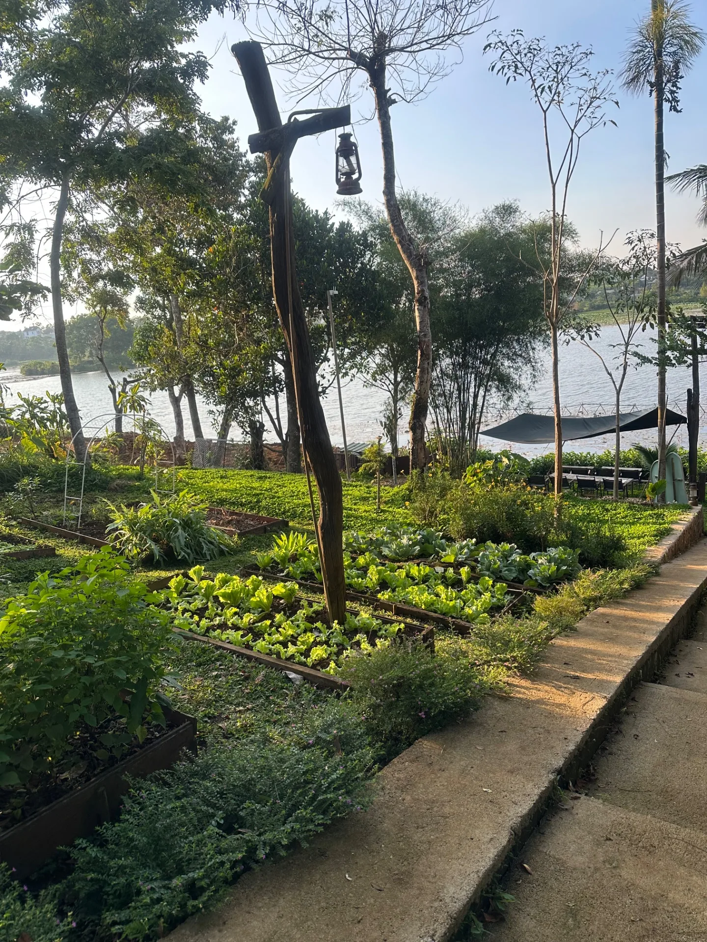 Dốc Sương Mù – Mama Home