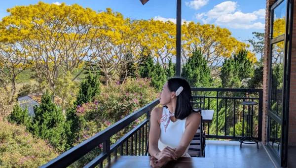 Sen Villa Boutique - ảnh 6